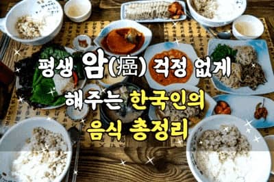 평생 암 걱정없게 해주는 한국인의 음식 총정리!