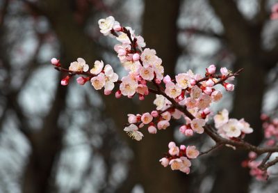 화내기 전 생각해야 할 9가지