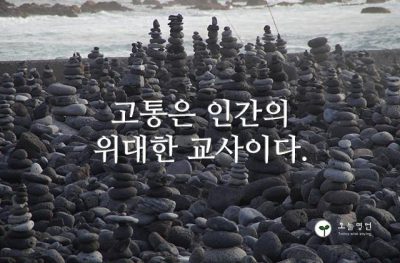 고통은 인간의 위대한 교사이다.