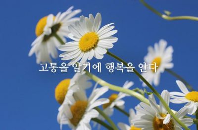 고통을 알기에 행복을 안다