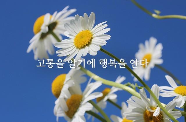 고통을 알기에 행복을 안다