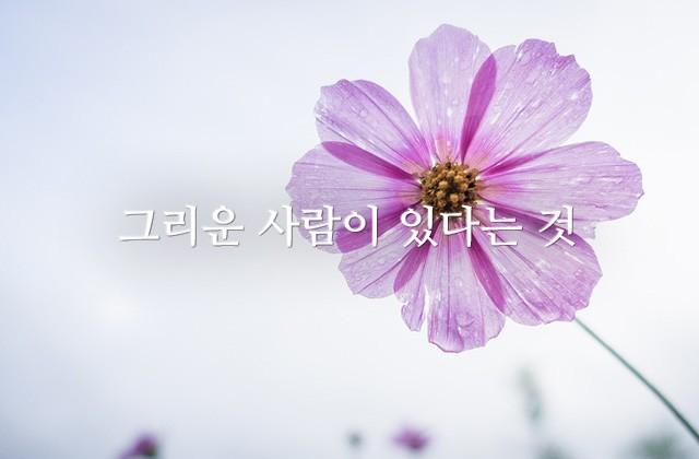 그리운 사람이 있다는 것