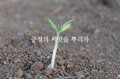 긍정의 씨앗을 뿌리자