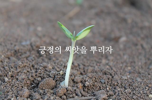 긍정의 씨앗을 뿌리자