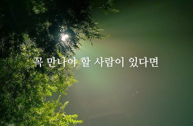 꼭 만나야 할 사람이 있다면