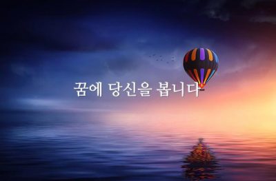 꿈에 당신을 봅니다