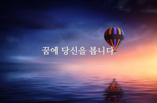 꿈에 당신을 봅니다