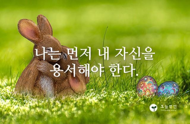 나는 먼저 내 자신을 용서해야 한다.