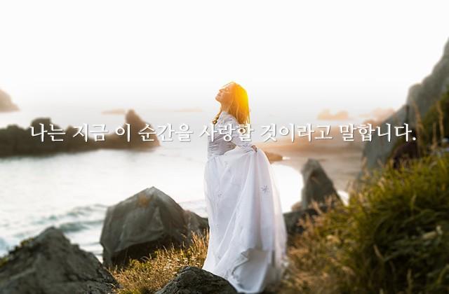 나는 지금 이 순간을 사랑할 것이라고 말합니다.