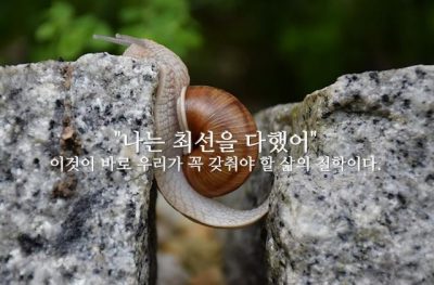 나는 최선을 다했어