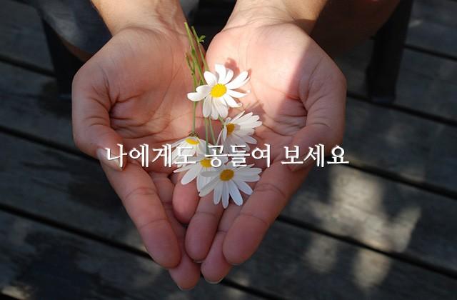 나에게도 공들여 보세요