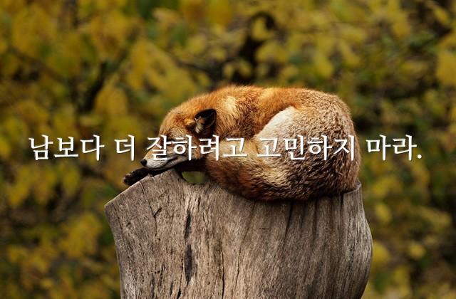 남보다 더 잘하려고 고민하지 마라.