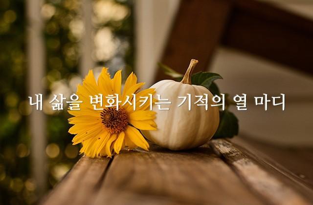 내 삶을 변화시키는 기적의 열 마디