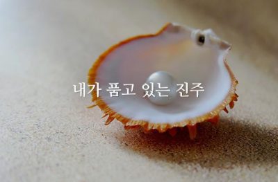 내가 품고 있는 진주