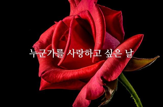 누군가를 사랑하고 싶은 날