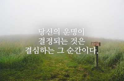 당신의 운명