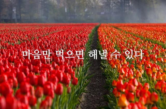 마음만 먹으면 해낼 수 있다.