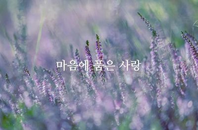 마음에 품은 사랑