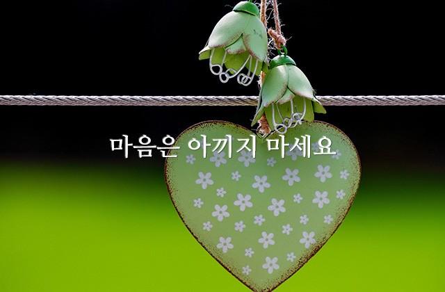 마음은 아끼지 마세요