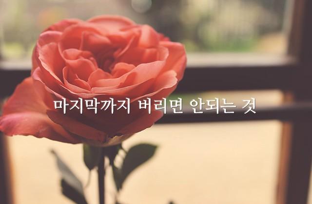 마지막까지 버리면 안되는 것