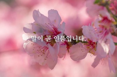 말이 곧 인품입니다.