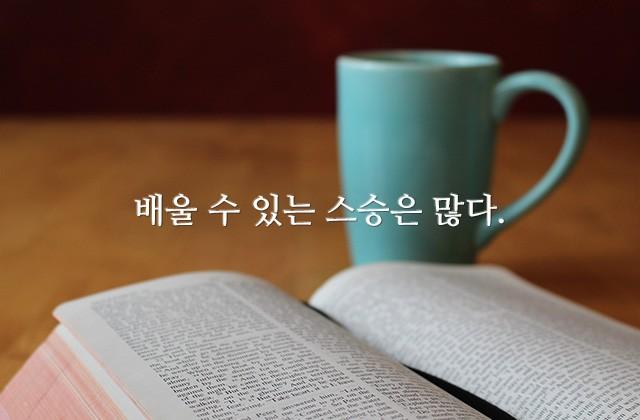 배울 수 있는 스승은 많다.