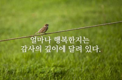 사람이 얼마나 행복한지는 감사의 깊이에 달려 있다.