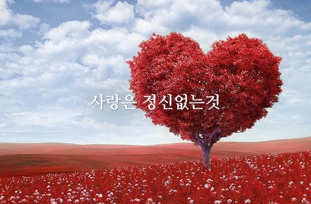 사랑은 정신없는것