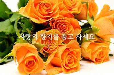 사랑의 향기를 품고 사세요