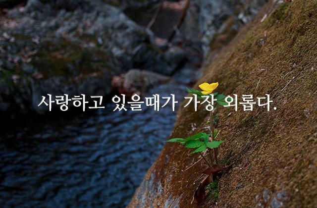 사랑하고 있을때가 가장 외롭다.