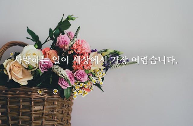 사랑하는 일이 세상에서 가장 어렵습니다.