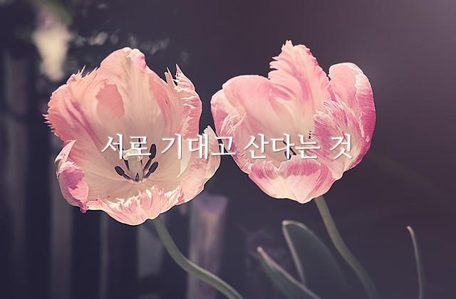 서로 기대고 산다는 것