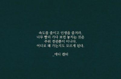 속도를 줄이고 인생을..