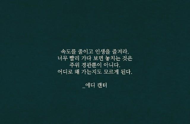 속도를 줄이고 인생을..