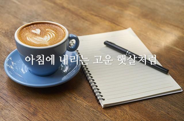 아침에 내리는 고운 햇살처럼