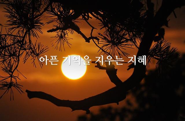 아픈 기억을 지우는 지혜