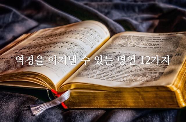 역경을 이겨낼 수 있는 명언 12가지