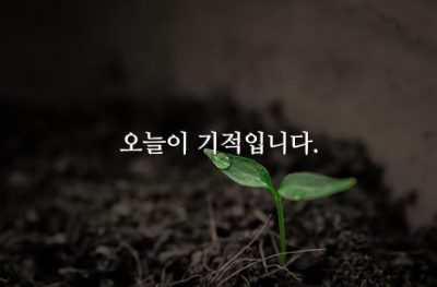 오늘이 기적입니다.