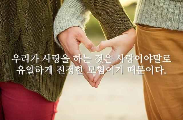 우리가 사랑을 하는 것은 사랑이야말로 유일하게 진정한 모험이기 때문이다.