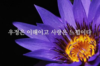 우정은 이해이고 사랑은 느낌이다