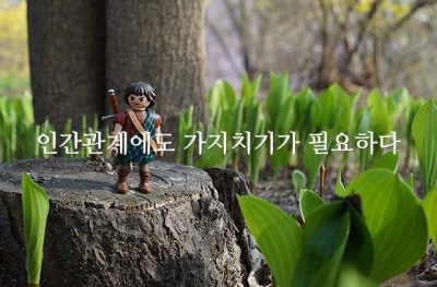 인간관계에도 가지치기가 필요하다