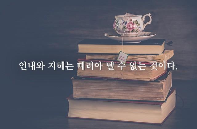 인내와 지혜는 떼려아 뗄 수 없는 것이다.