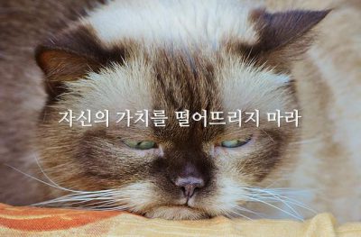 자신의 가치를 떨어뜨리지 마라