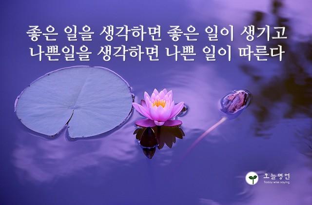 좋은 일을 생각하면 좋은 일이 생기고, 나쁜일을 생각하면 나쁜 일이 따른다.