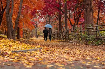 타인의 결점은 우리들의 눈앞에 있고, 우리들 자신의 결점은 우리의 등 뒤에 있다.