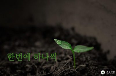 한번에 하나씩