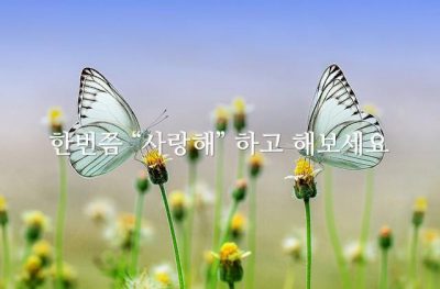 한번쯤 “사랑해” 하고 해보세요