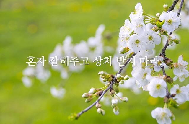 혼자 잘해주고 상처 받지 마라.