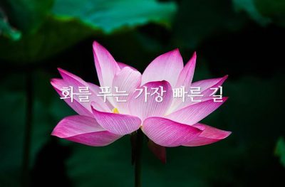 화를 푸는 가장 빠른 길