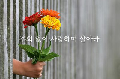 후회 없이 사랑하며 살아라